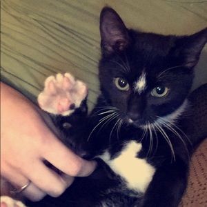 Meet your Posher, Anna